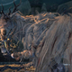 Image for article titled What I Actually Call Dark Souls Bosses